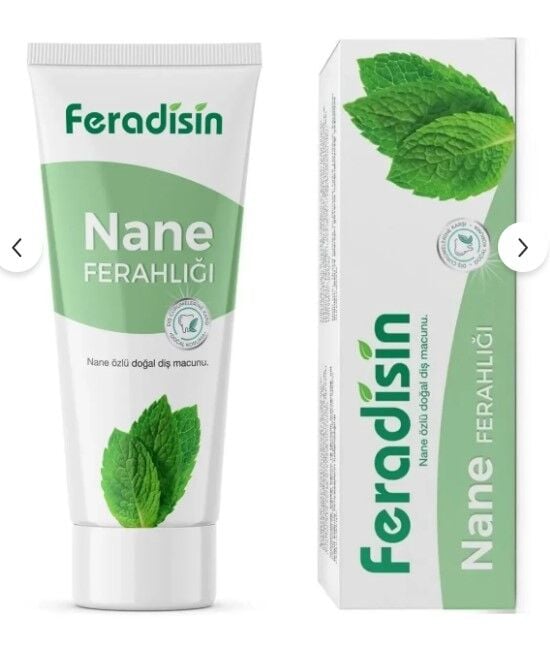 Feradisin Diş Macun Nane Ferahlığı 90gr