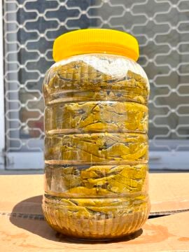 Tokat Erbaa Salamura Yaprağı 3lük bidon